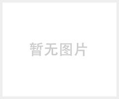 环路网TL503/TL553两口百兆IP光端机